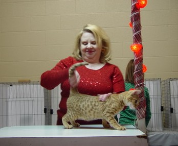 Judge Teresa Keiger and SGC Catiators Cpt JHack Sparrow of TC