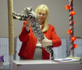 Judge Vickie Nye and CH Catiators Jackpot Air Classic